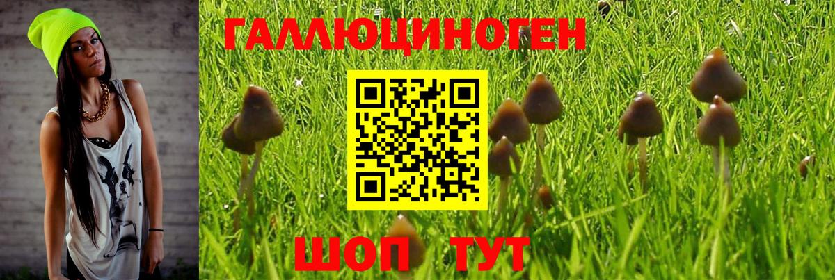 Псилоцибиновые грибы Magic Shrooms  Вход с VPN  Бор 