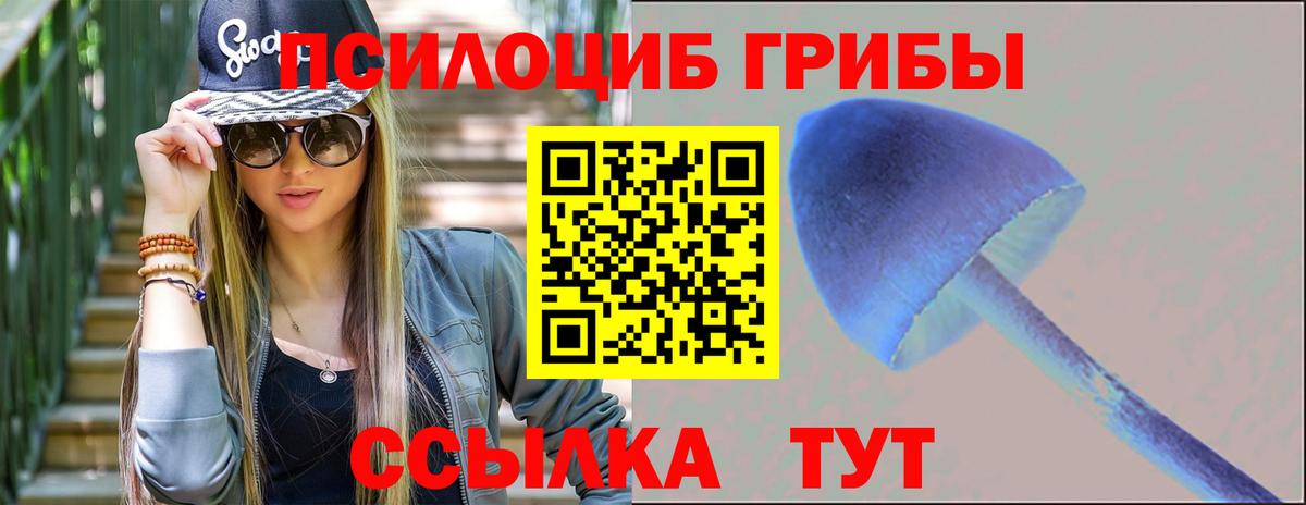 Галлюциногенные грибы ЛСД Бор